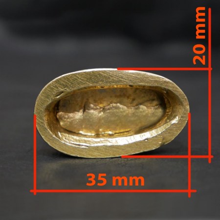 p10006358